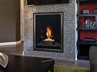 Empire Comfort - Designer Fireplaces - Forest Hills