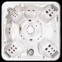 Artesian Spas - South Seas Deluxe Class