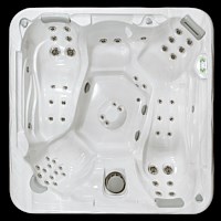 Artesian Spas - South Seas Deluxe Class