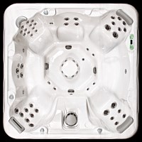 Artesian Spas - South Seas Deluxe Class