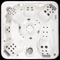 Artesian Spas - South Seas Deluxe Class