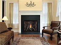 Empire Comfort - Traditional Clean Face Direct Vent Fireplaces
