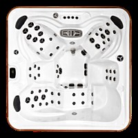 Arctic Spas - Custom Series