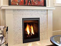 Enviro Gas Fireplace