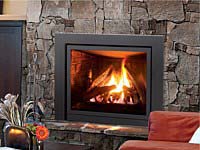 Enviro Gas Fireplace