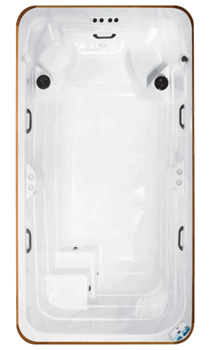 1 Jet Swim Spa