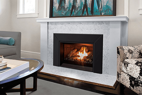 The E25 Gas Fireplace Insert